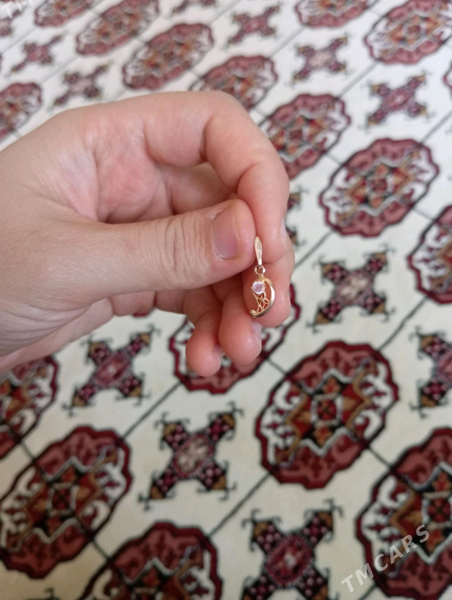 gyzyl klon - Кëши - img 3