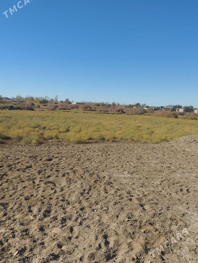 Jay Satlyk - Акдепе - img 4