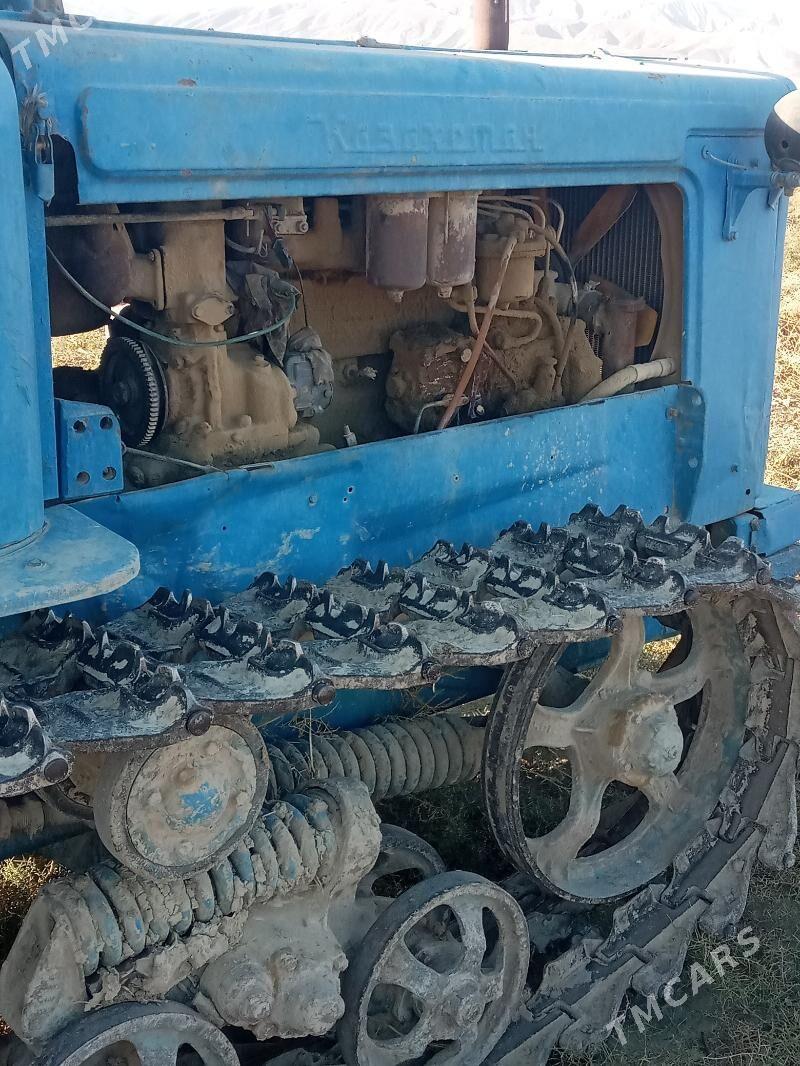 MTZ 82 2000 - 40 000 TMT - Gyzylarbat - img 5