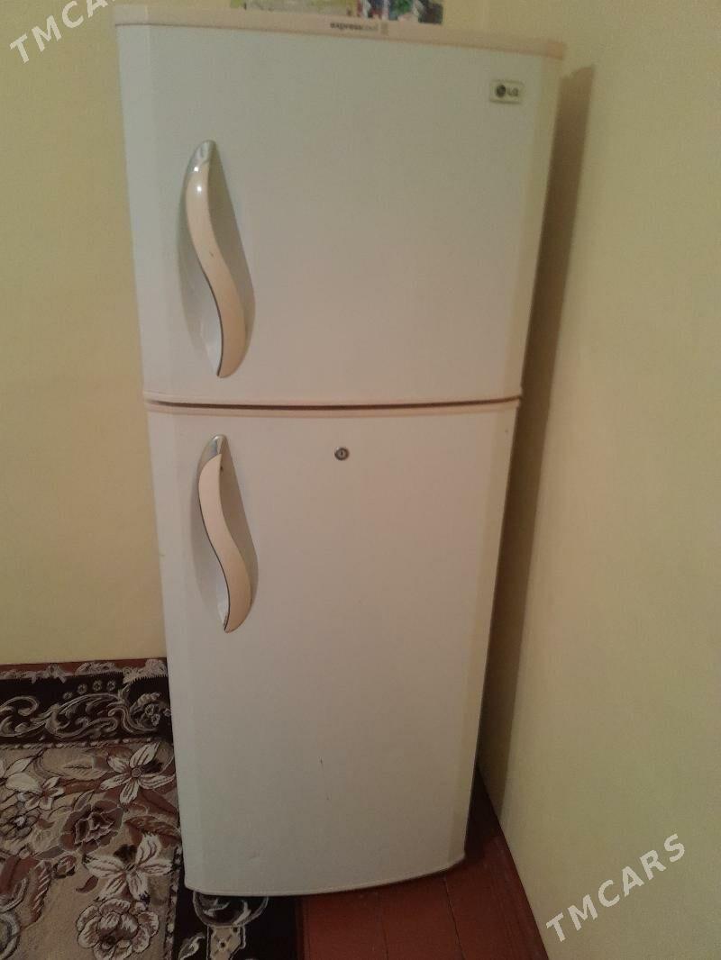 holodinnik - Теджен - img 2