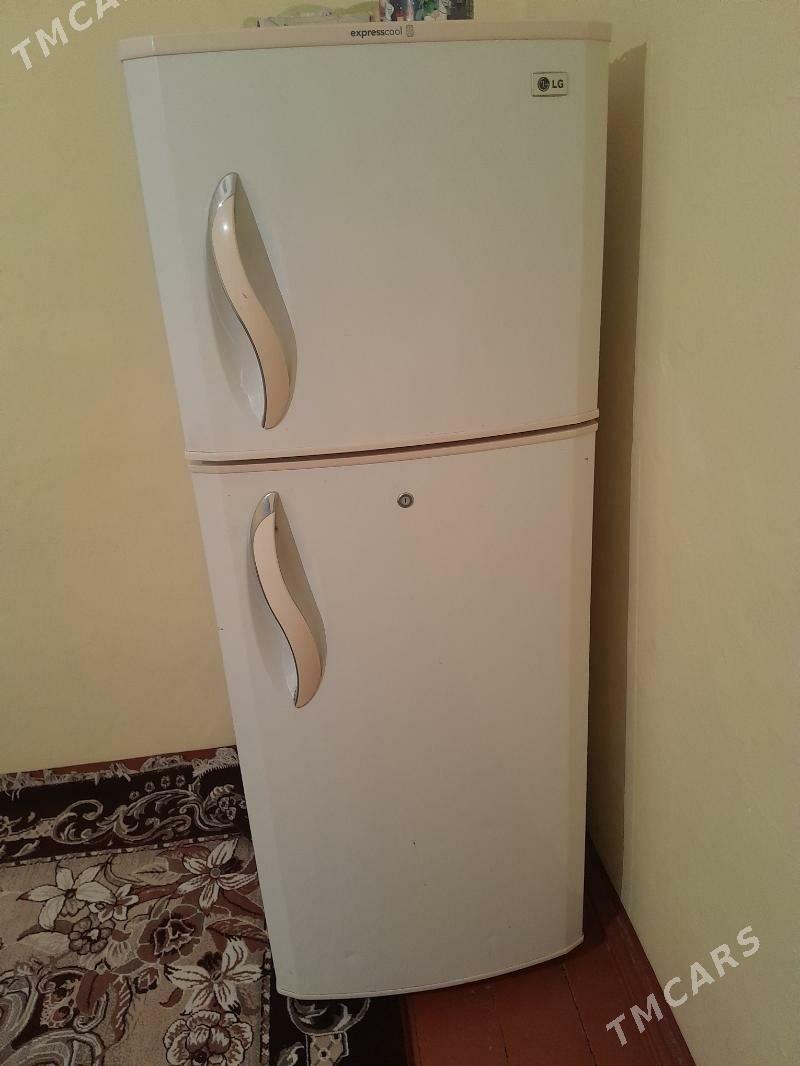 holodinnik - Теджен - img 1