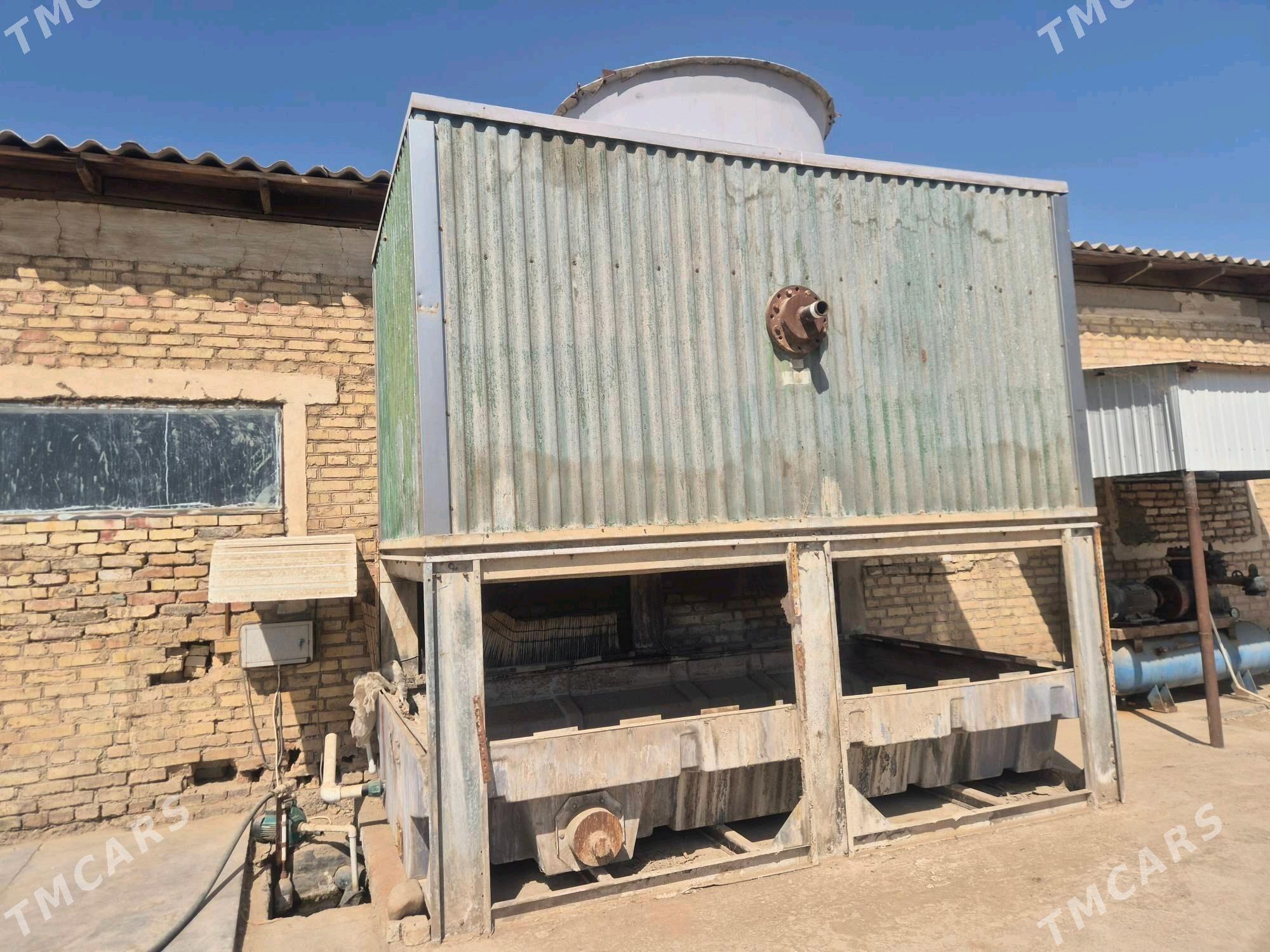 Suw Sowadyjy - Mary - img 2