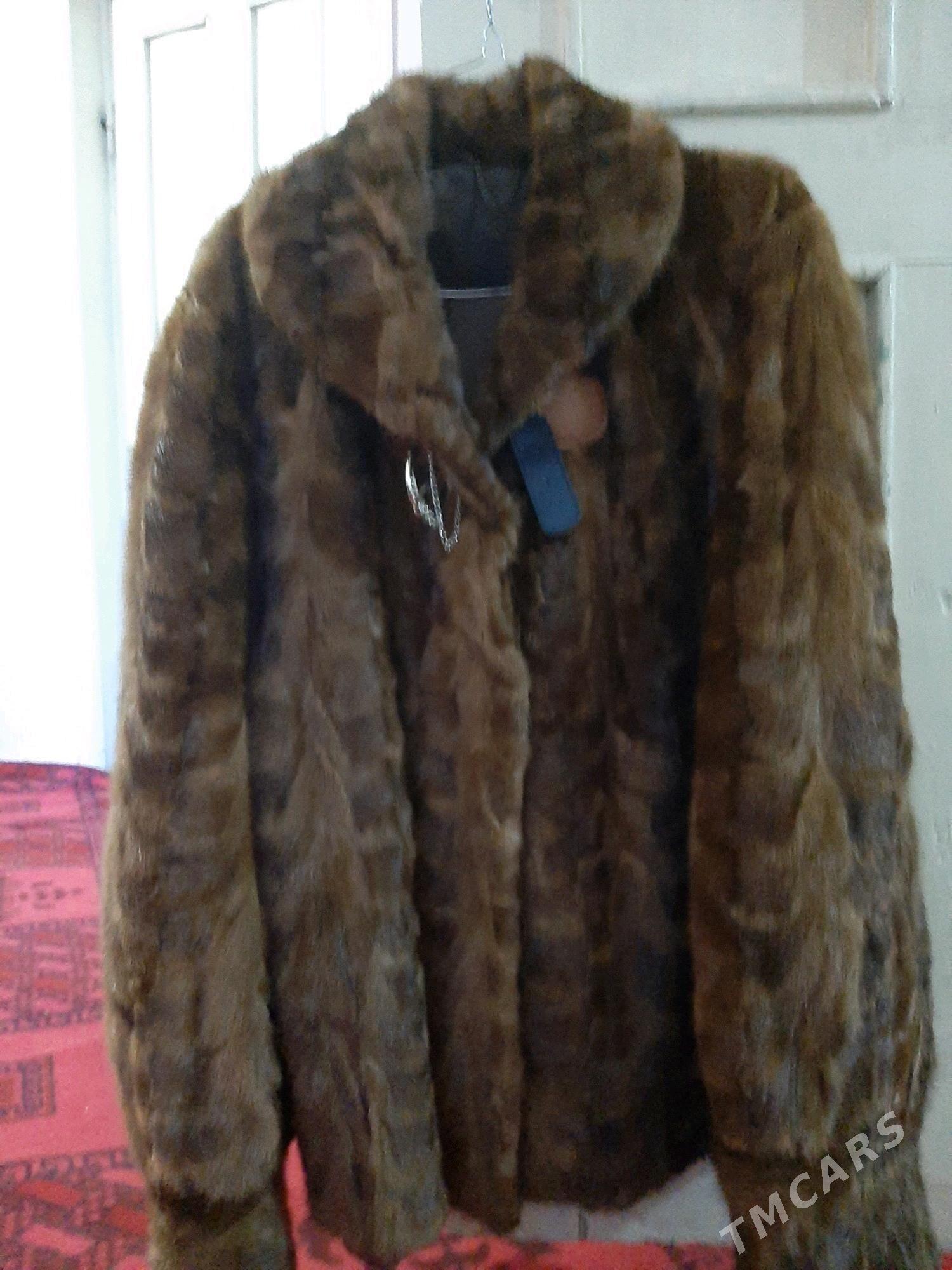 Gyş kurtka - Daşoguz - img 3