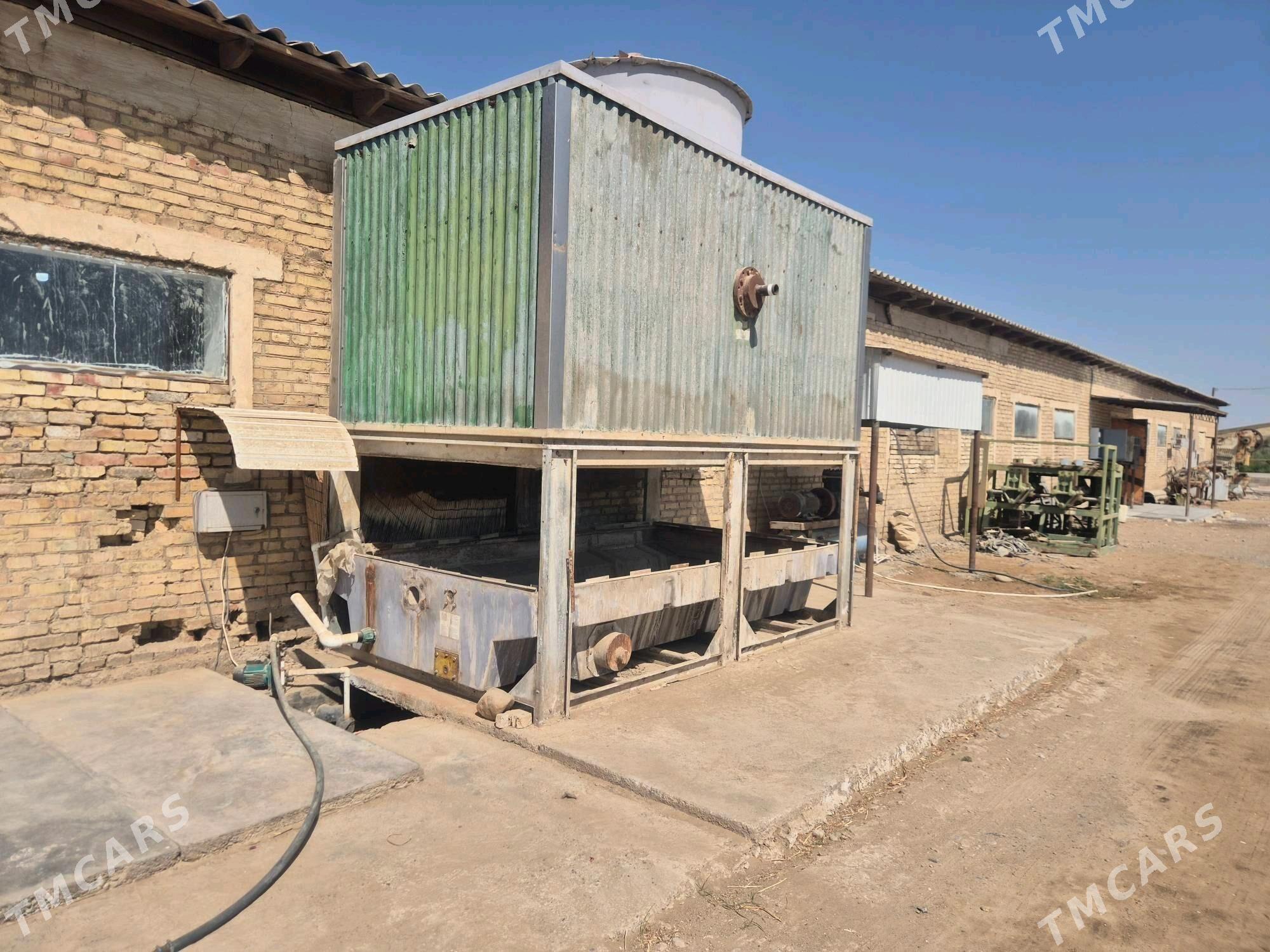 Suw Sowadyjy - Mary - img 1