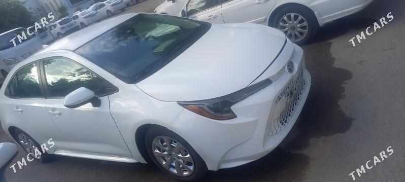 Toyota Corolla 2020 - 178 000 TMT - Ашхабад - img 5