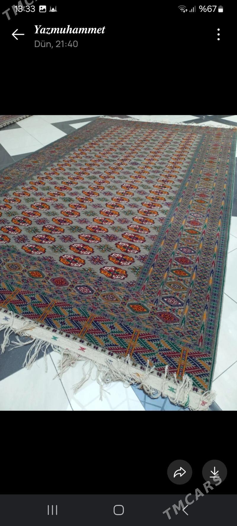 el haly 3/5 - Bäherden - img 2