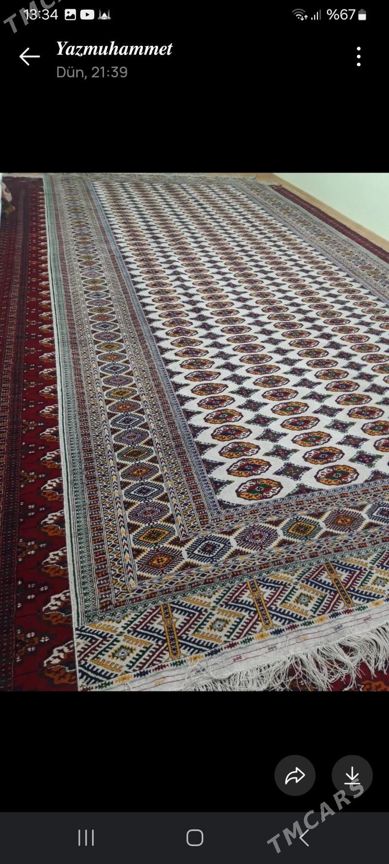 el haly 3/6 - Bäherden - img 2