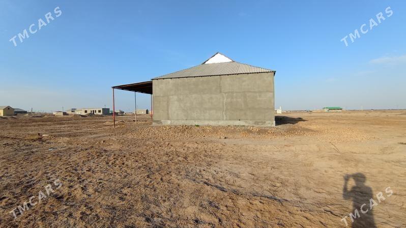 Satlyk tejen jay - Теджен - img 4