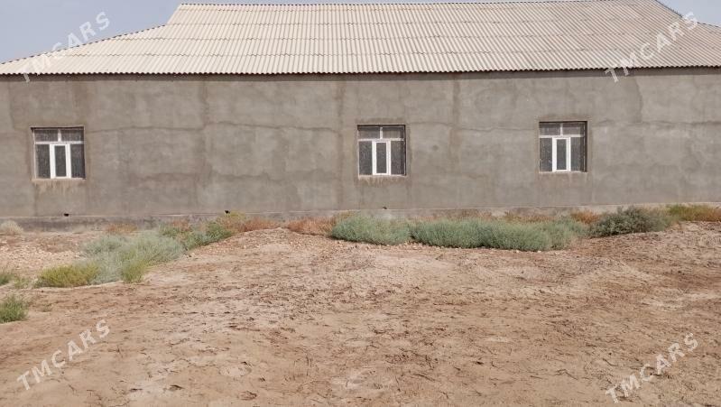 Satlyk tejen jay - Теджен - img 7