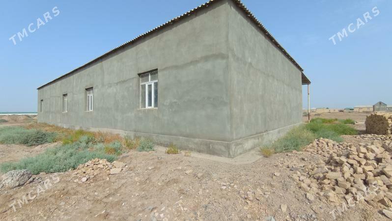 Satlyk tejen jay - Теджен - img 9