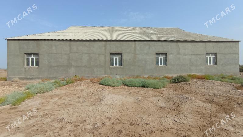 Satlyk tejen jay - Теджен - img 8