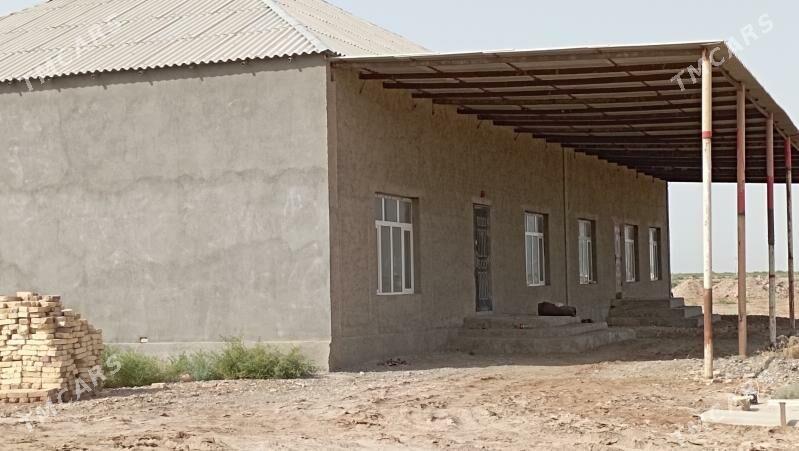 Satlyk tejen jay - Теджен - img 10