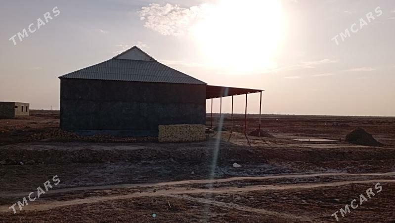 Satlyk tejen jay - Теджен - img 2