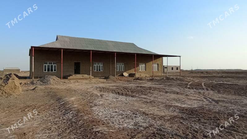 Satlyk tejen jay - Теджен - img 3