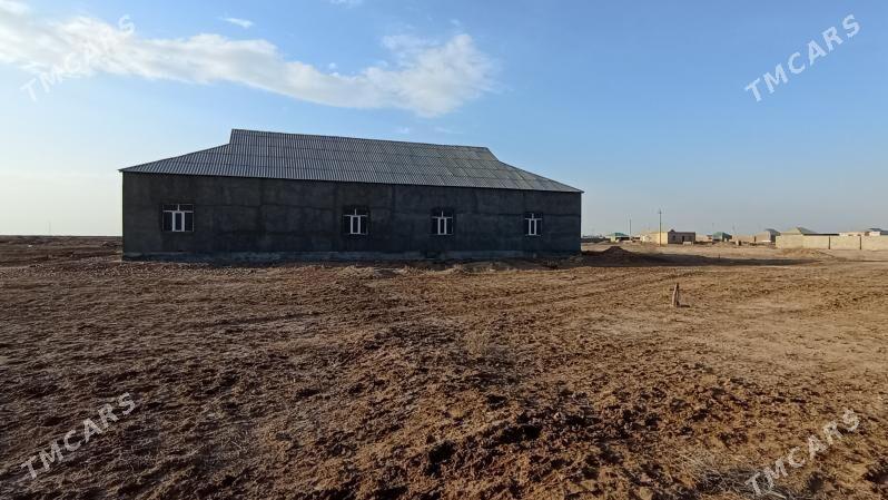 Satlyk tejen jay - Теджен - img 5