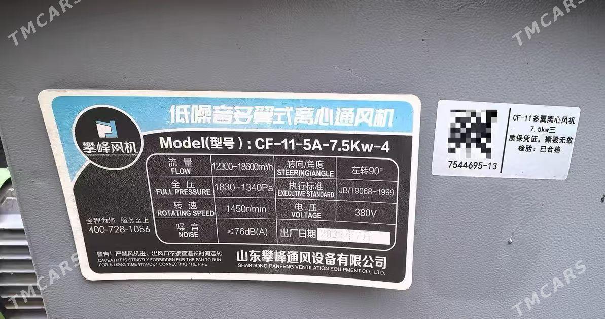 ulitka howalandyryjy - Mary - img 3