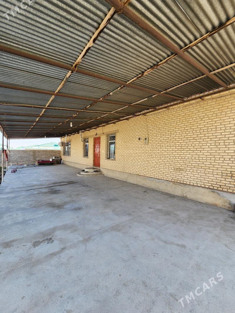 Satlyk jay Baherden - Bäherden - img 9