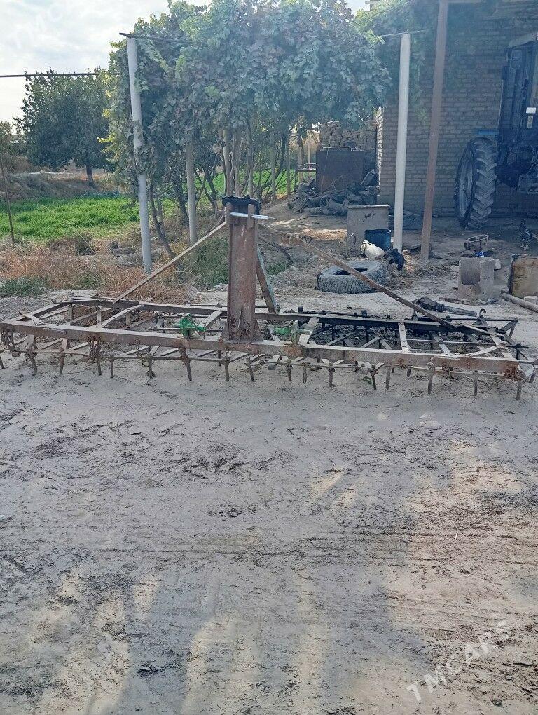 pluh cizel barana mala greydor - Saýat - img 10