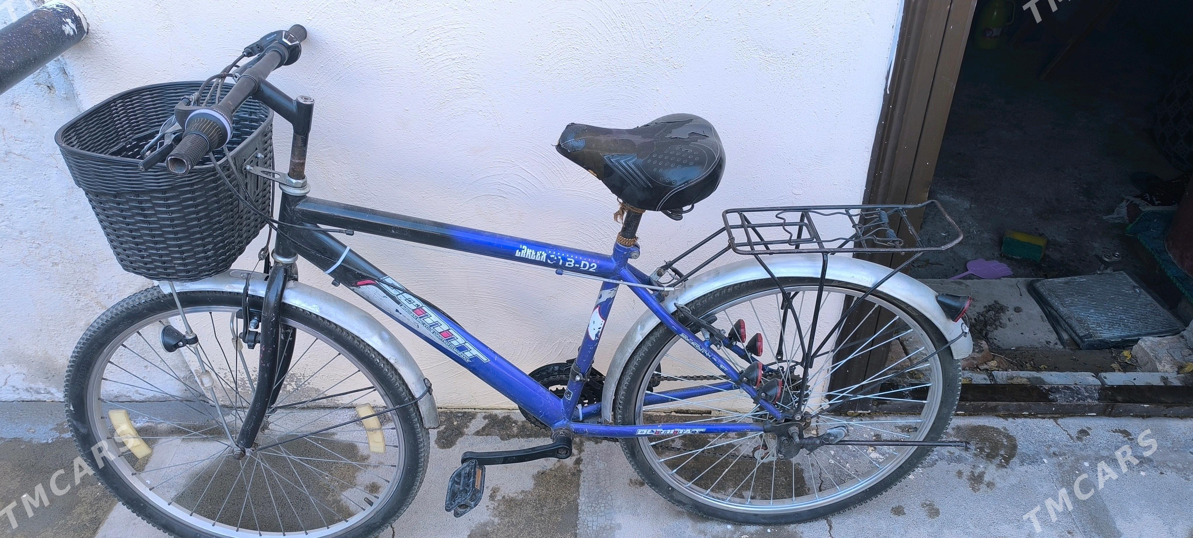 welik tigir - Mary - img 2