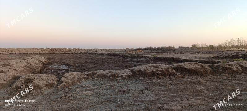 Satlyk mellek - Акдепе - img 3