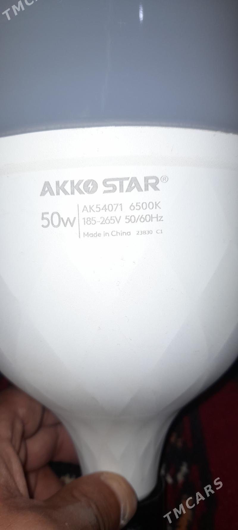 Ak Lampa ekenomiçni ulysy - Çoganly - img 3