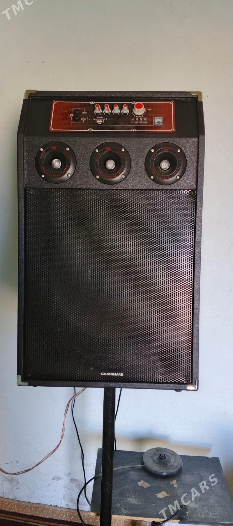 Kolonka 15 lik - Gyzylarbat - img 3