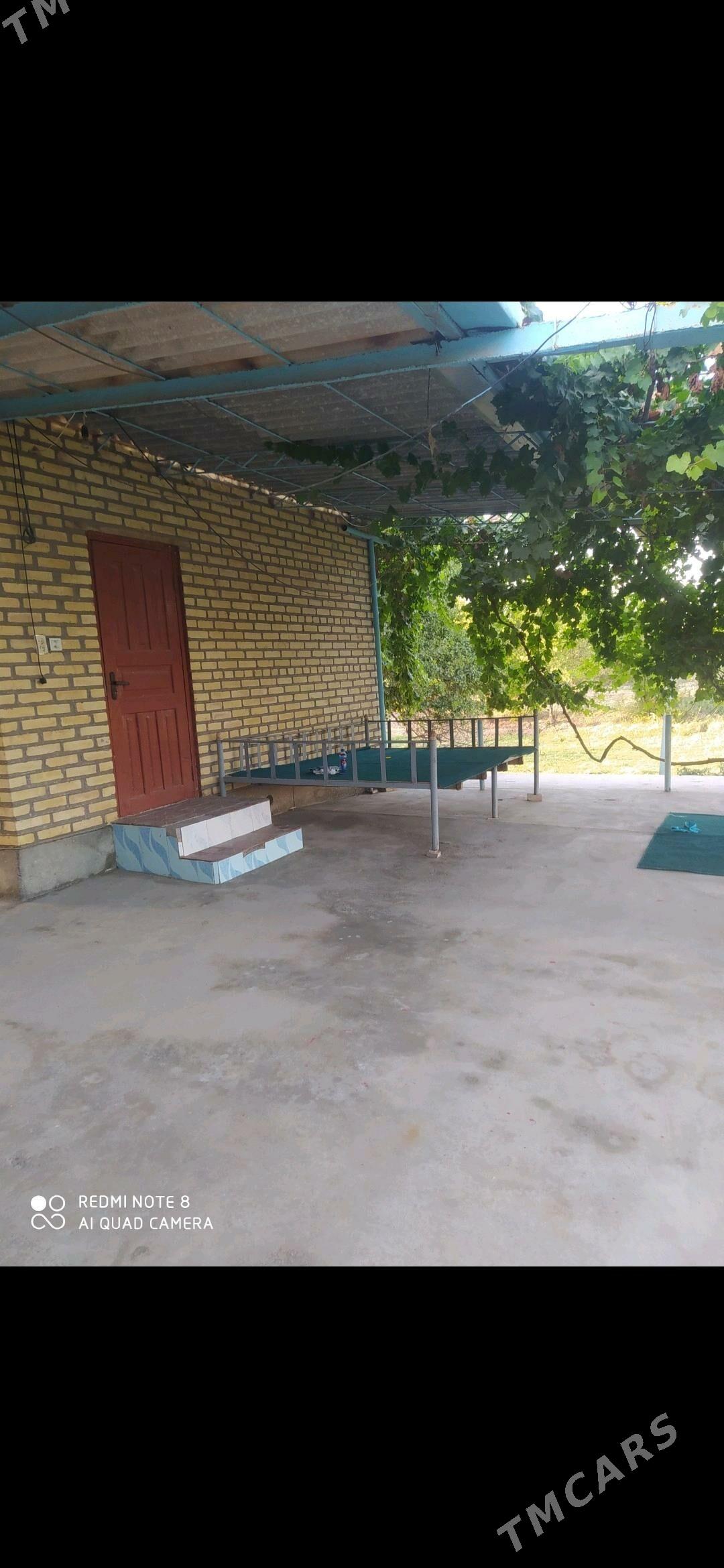 Pelwert oba satlyk jay - Халач - img 2