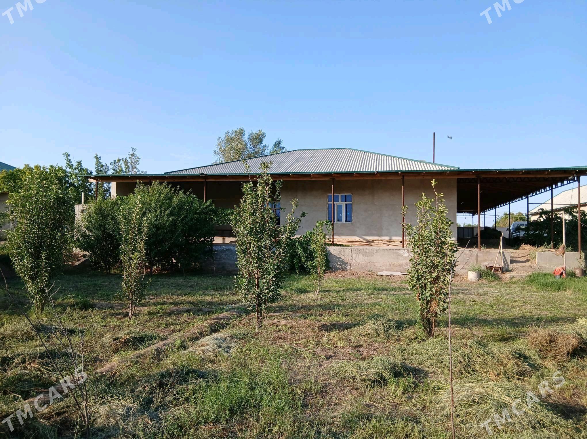 jay satlyk - Шабатский этрап - img 1