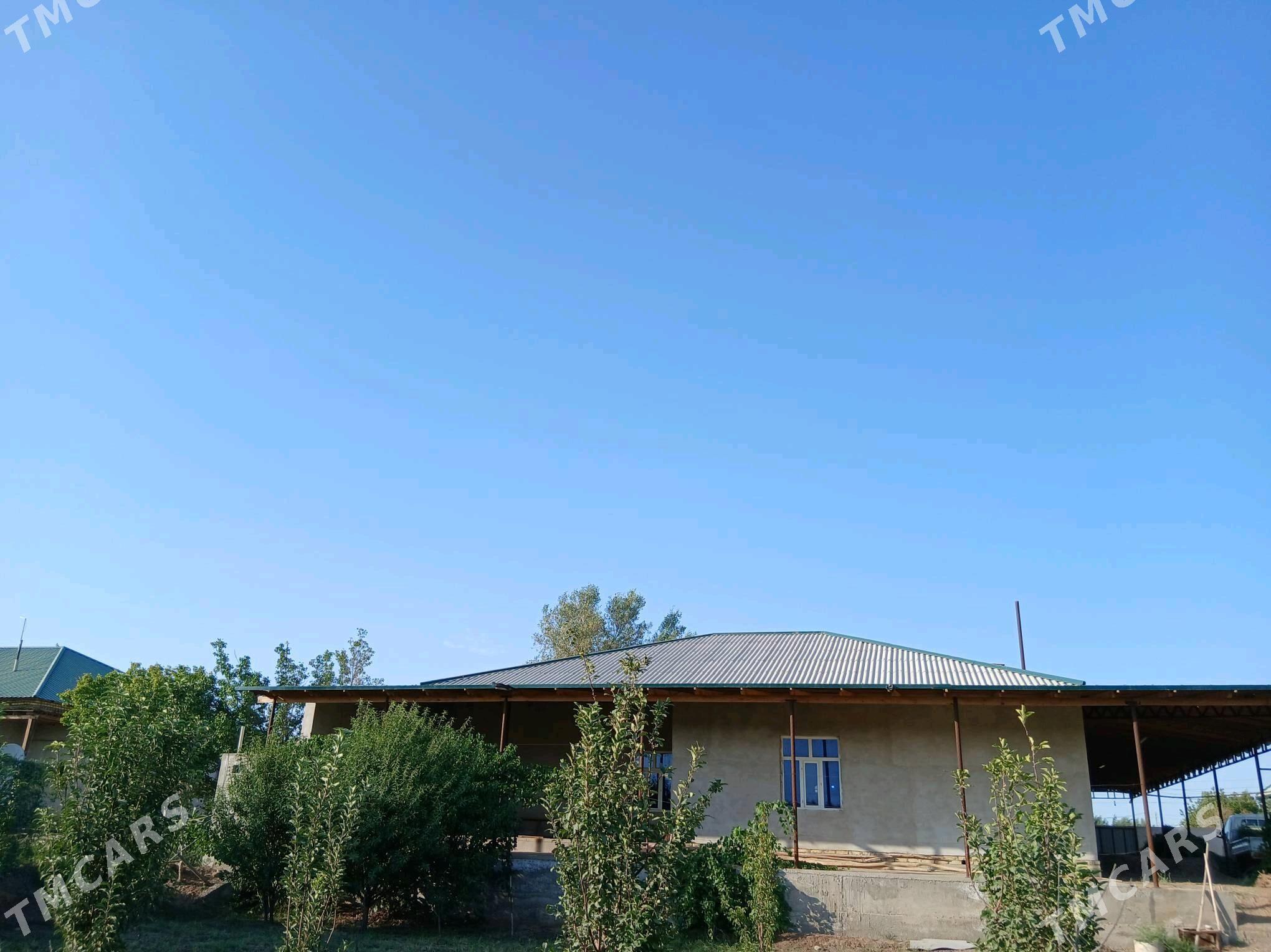 jay satlyk - Шабатский этрап - img 4