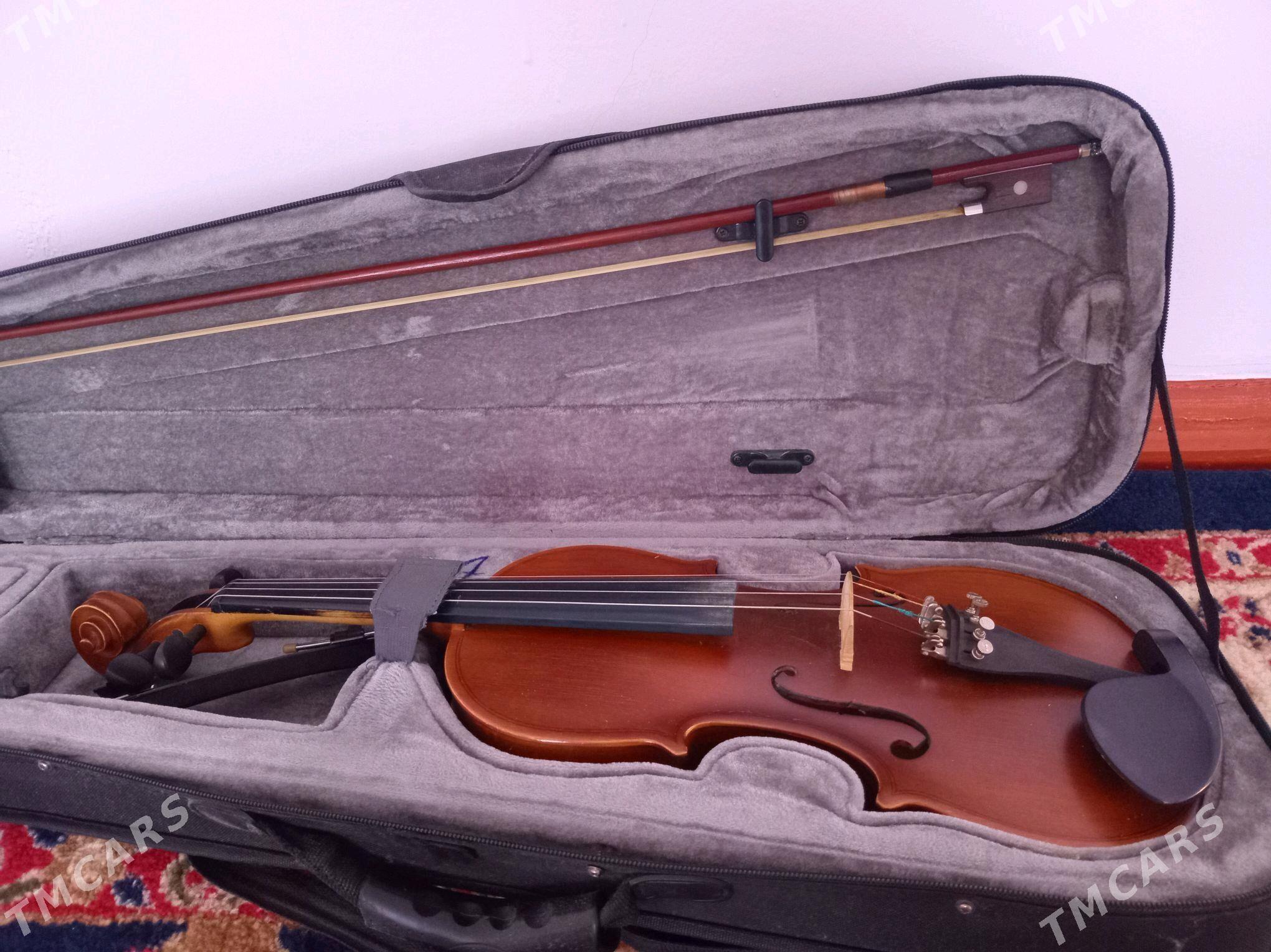 скрипка - Туркменабат - img 2