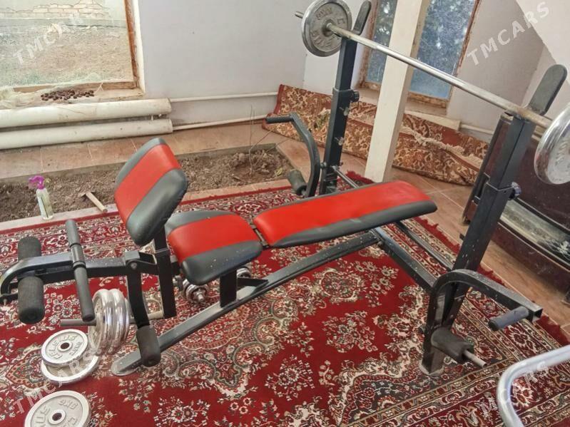 trenazor - Дашогуз - img 2