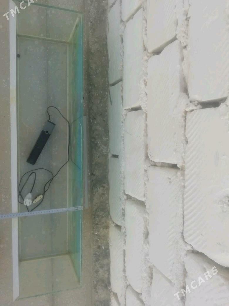 Akwarium - Balkanabat - img 3