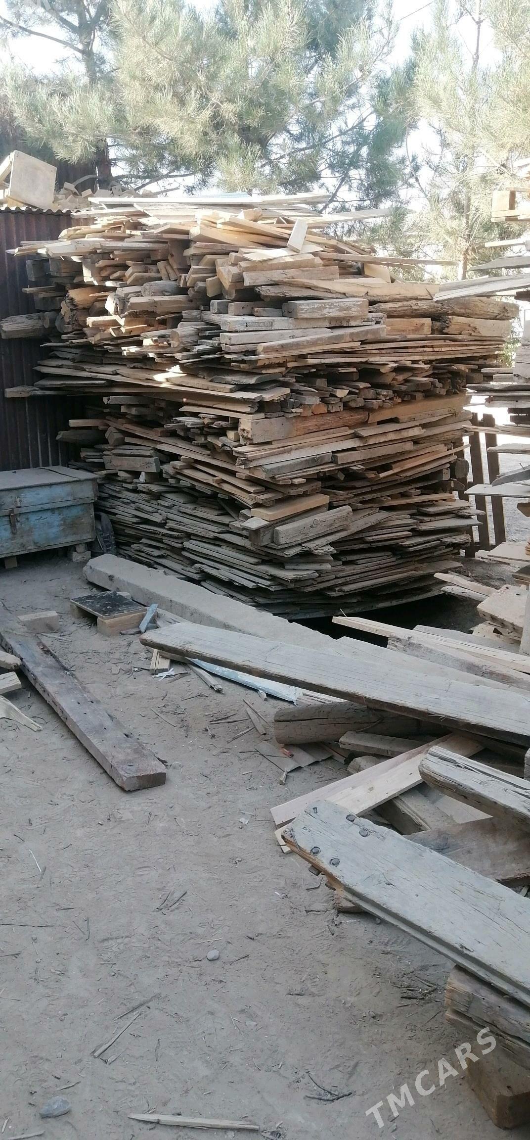 Agac razny - Murgap - img 3