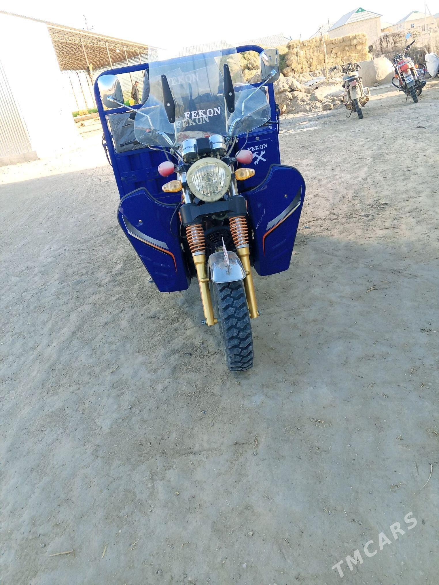 Fekon FK200-14G 2023 - 27 000 TMT - Sakarçäge - img 3