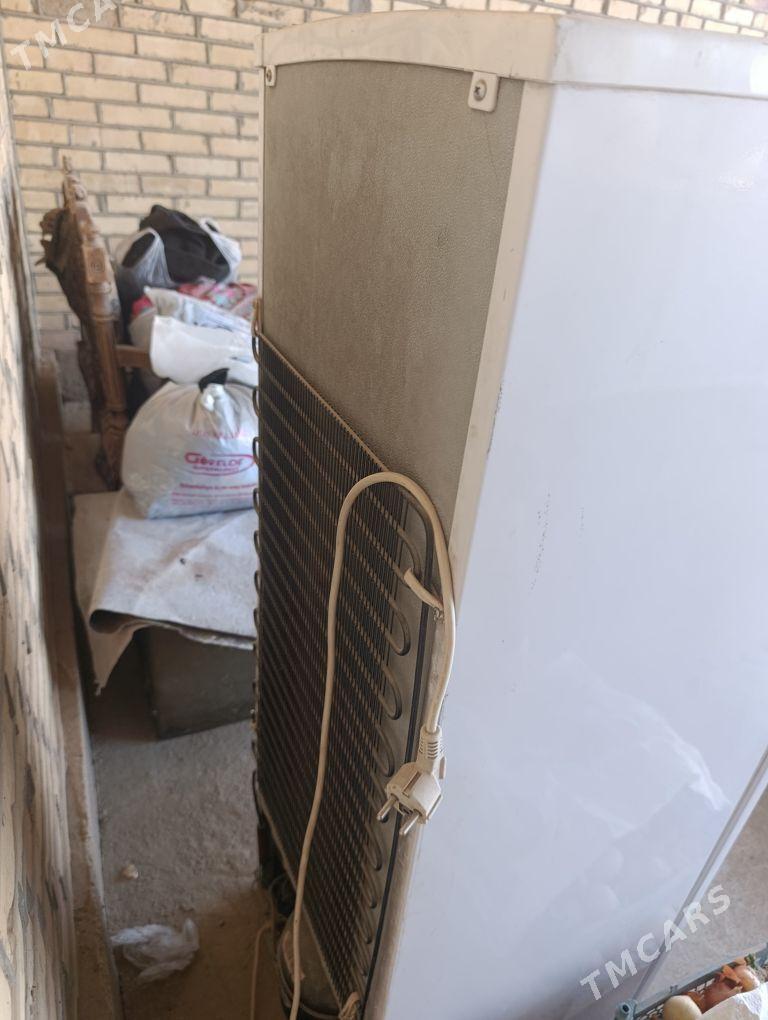 holodilnik - Sakarçäge - img 4