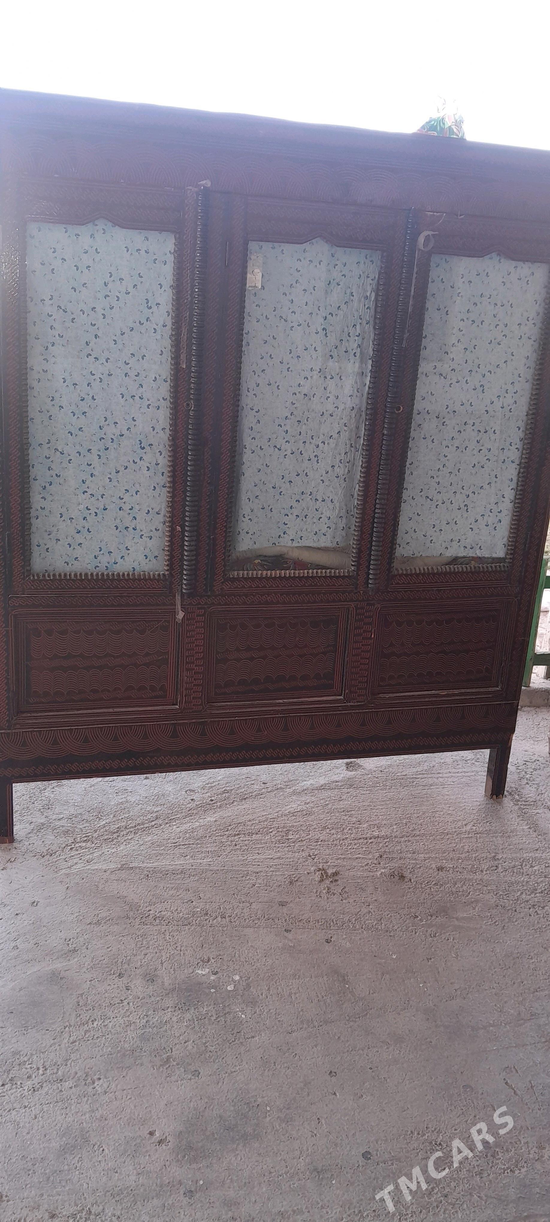 yogran salyan - Ýaşlyk - img 2