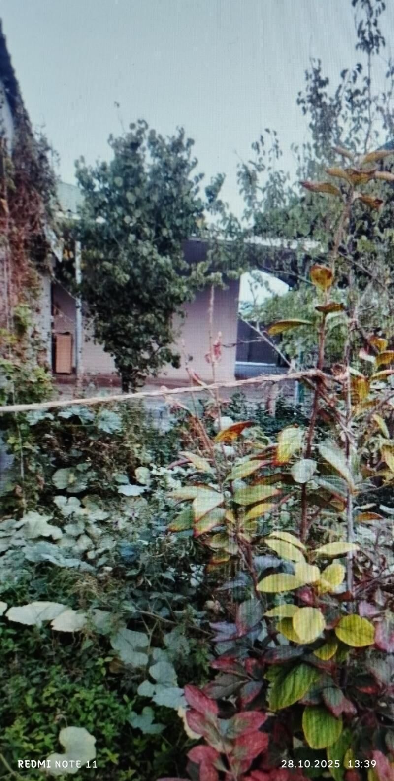 ANEW plan.27mek.10 sotok.10kom - Änew - img 8