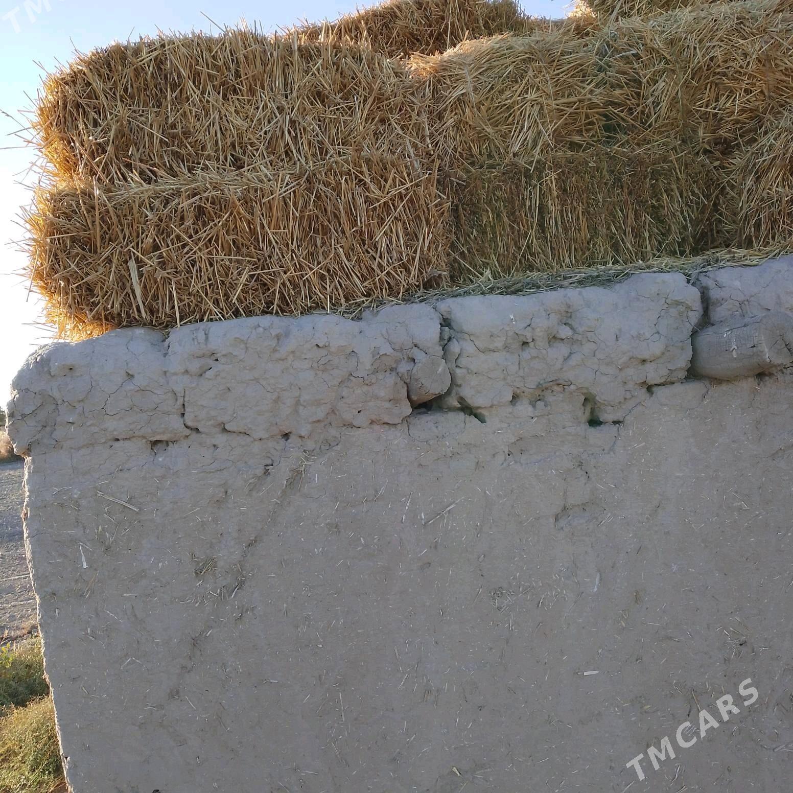 kip saman - Кёнеургенч - img 1