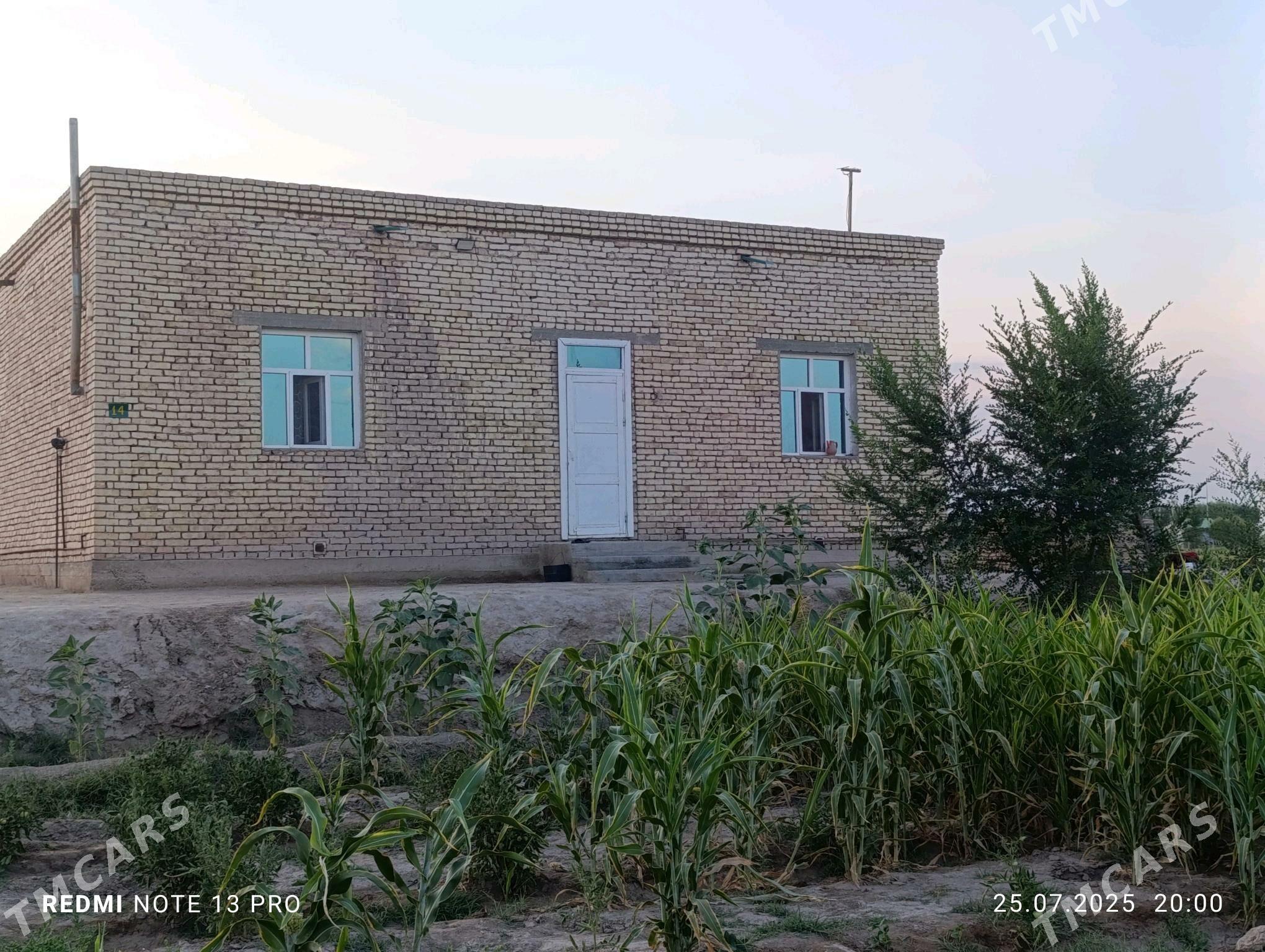 Satlyk jay - Akdepe - img 8