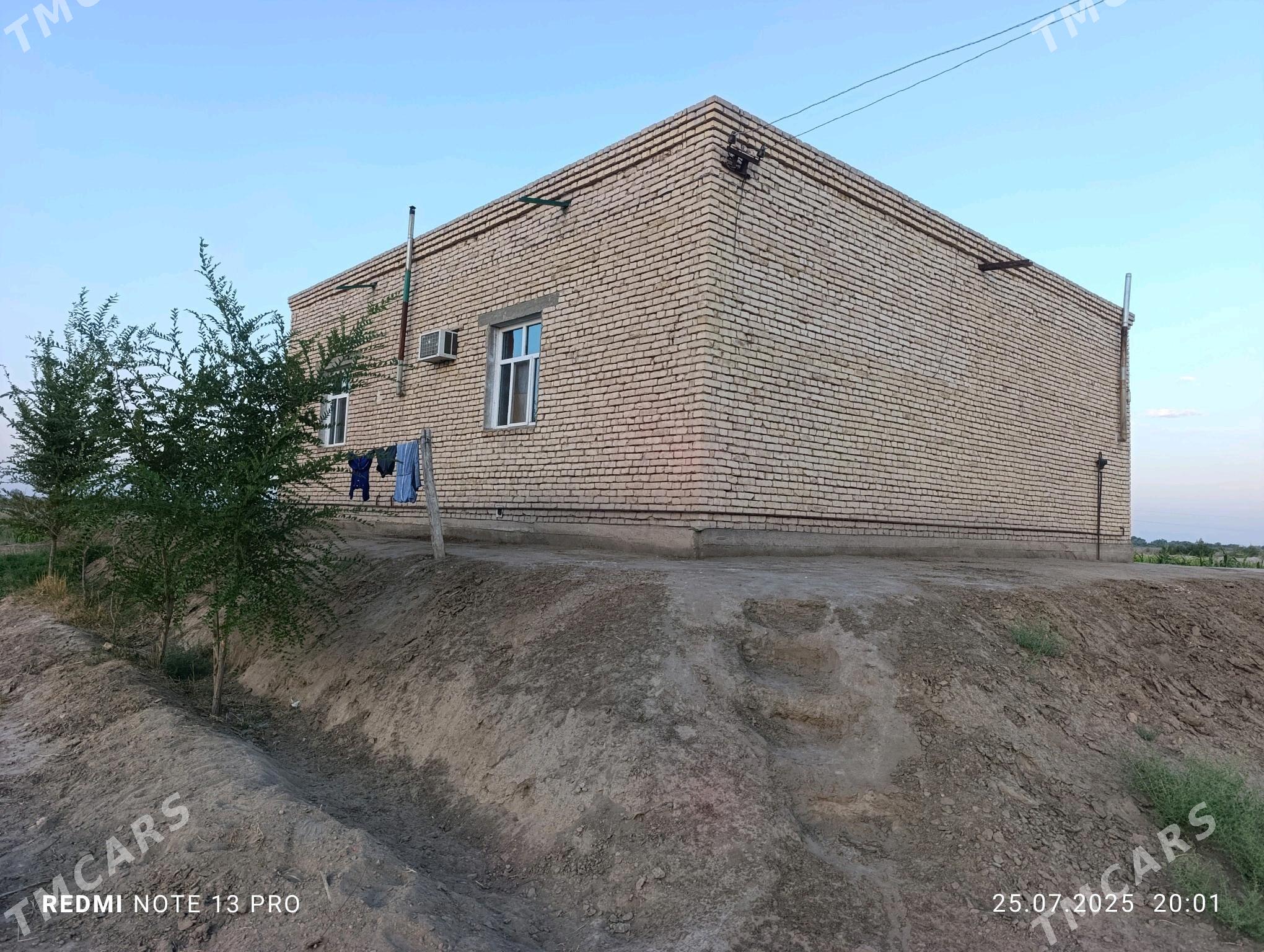 Satlyk jay - Akdepe - img 6