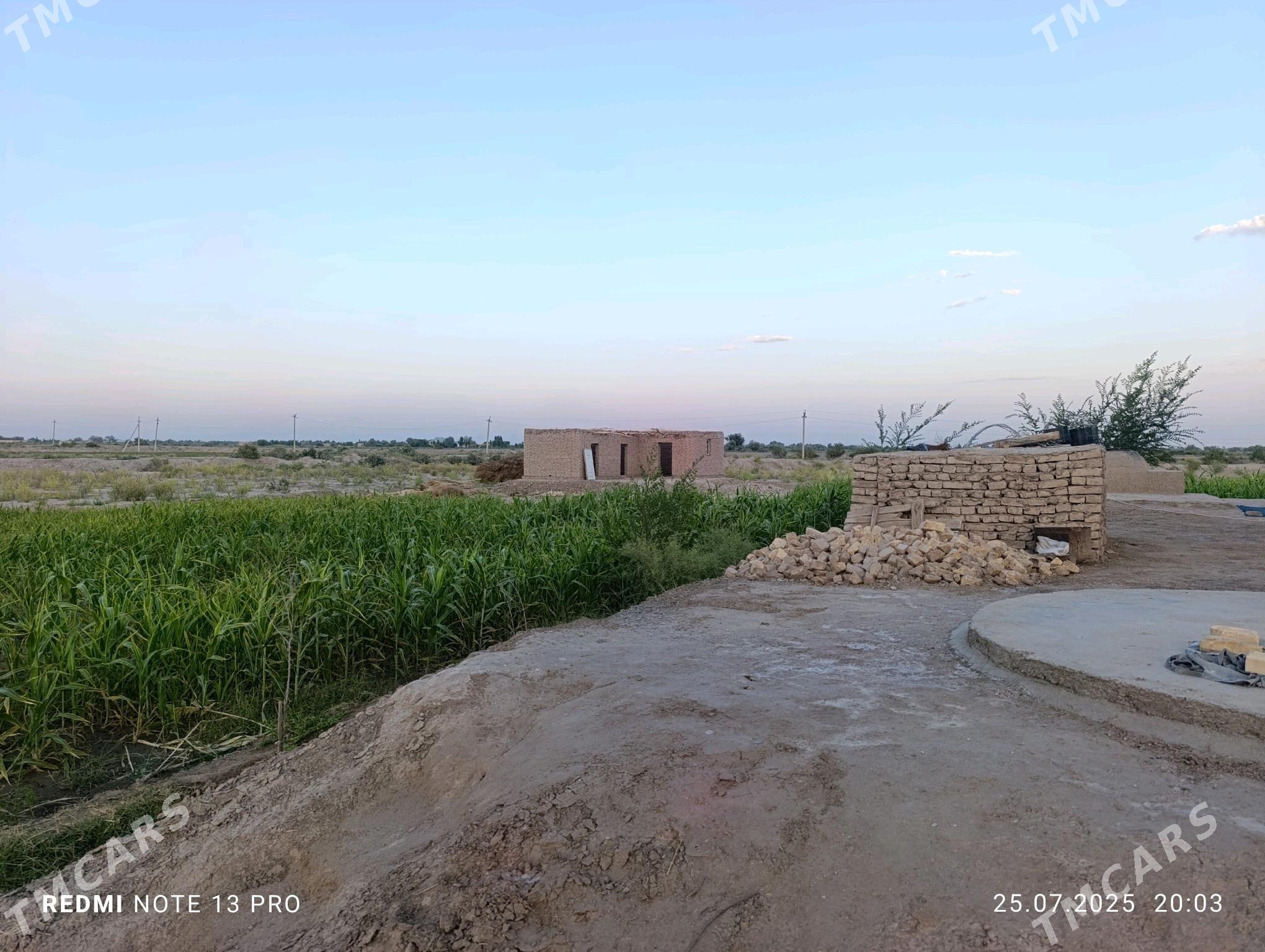 Satlyk jay - Akdepe - img 2