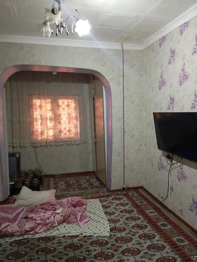 Satlyk jay  - Мары - img 5