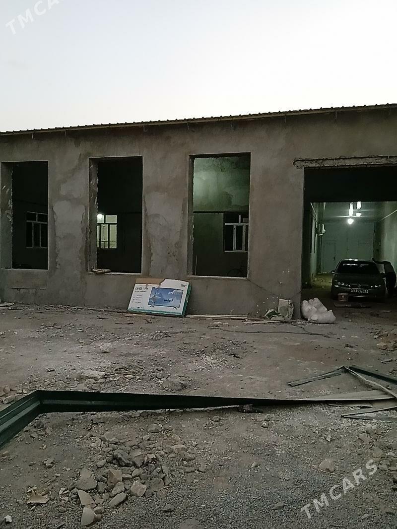 Mellek - Türkmenabat - img 3