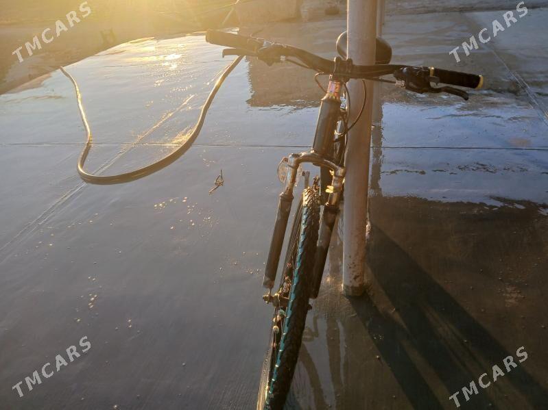 weli - Şabat etr. - img 3