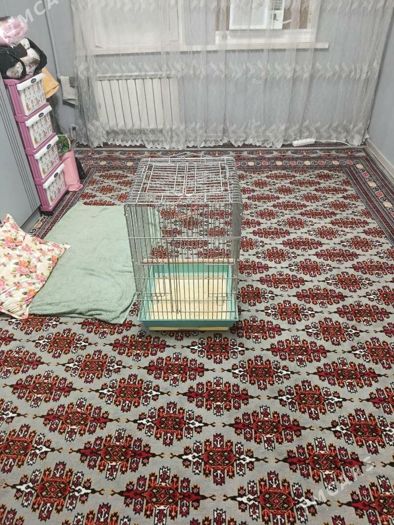 kletka,клетка - Aşgabat - img 4