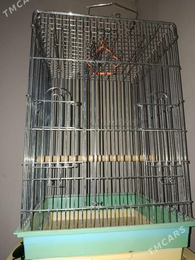 kletka,клетка - Aşgabat - img 3