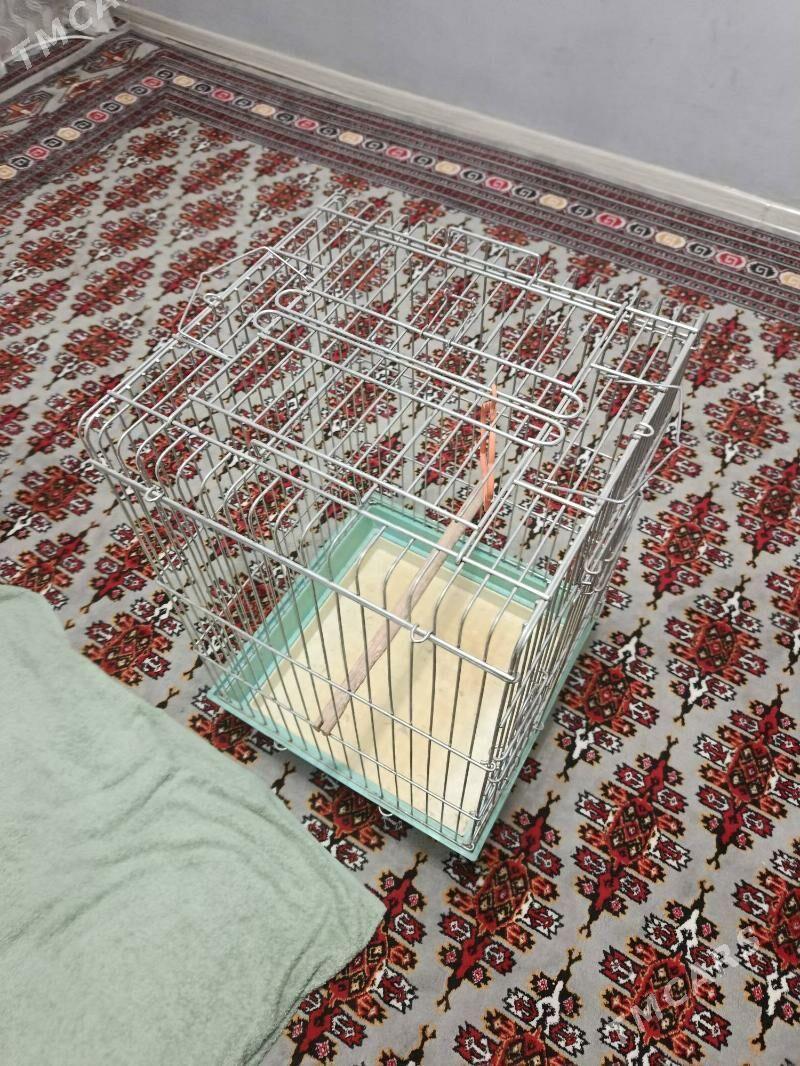kletka,клетка - Aşgabat - img 2