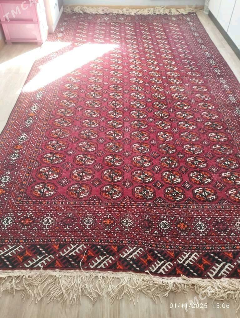 Elhaly - Parahat 7 - img 2