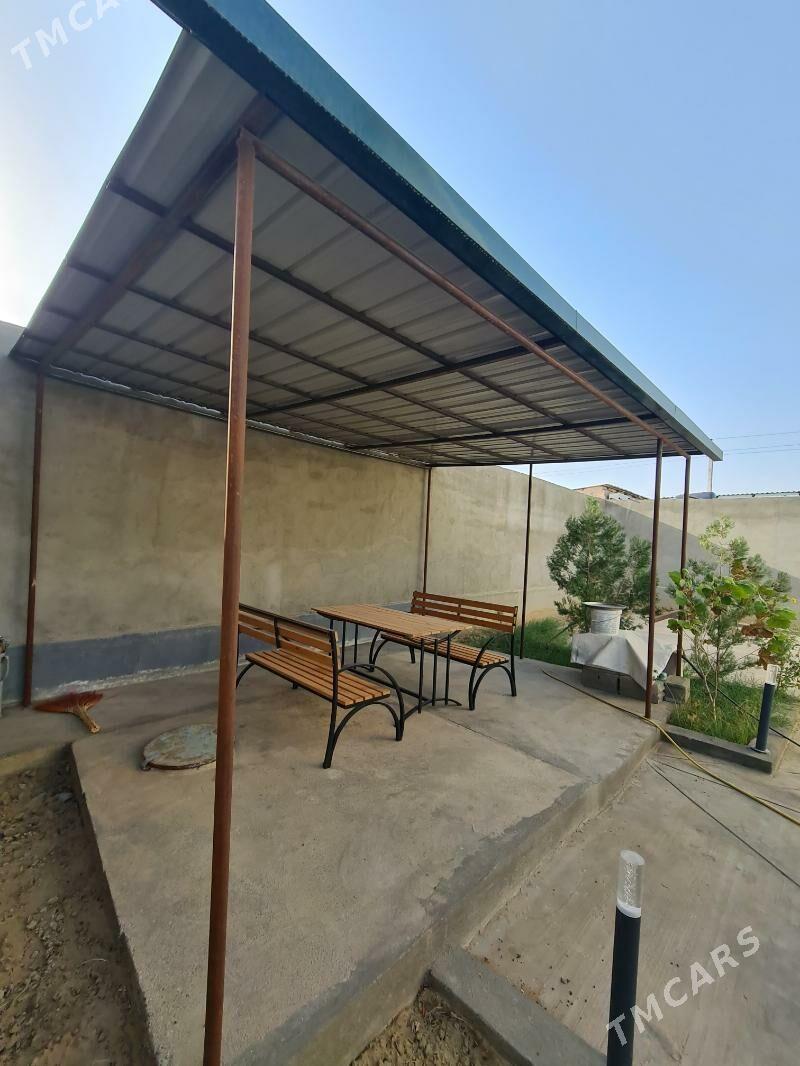 Çoganly - Чоганлы - img 8