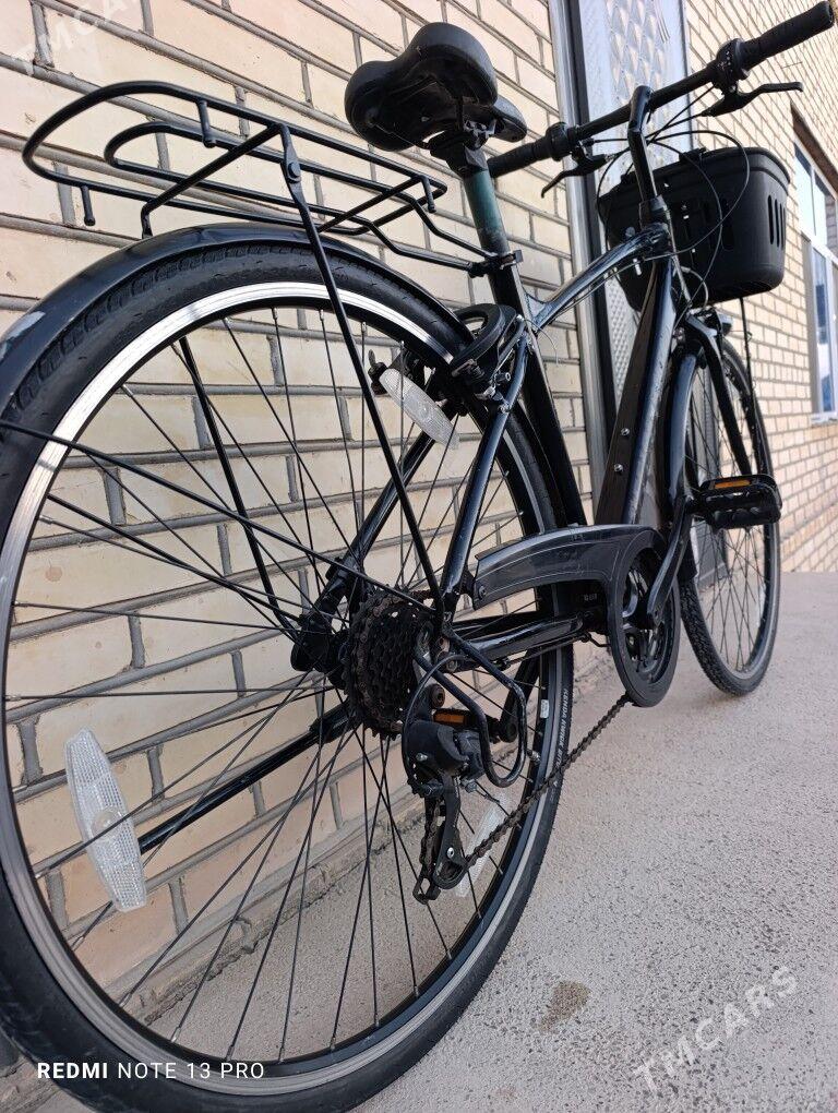 Office Press - Mary - img 5